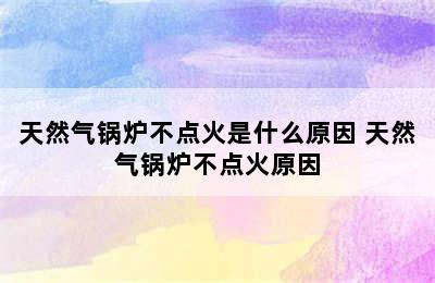 天然气锅炉不点火是什么原因 天然气锅炉不点火原因